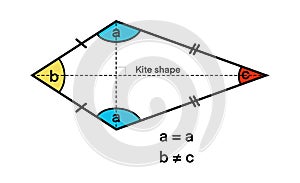 educational diagram of a kite-shaped quadrilateral showing equal side pairs